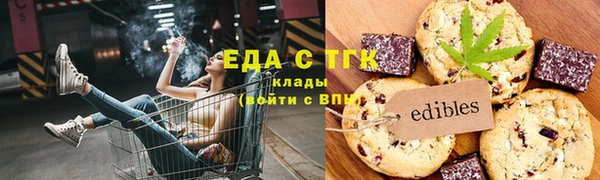 хмурый Алексин
