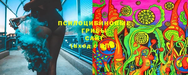 круглые Алзамай